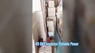 詳細: 40.5kV 高電圧エポキシ樹脂絶縁体シールドスパウトブッシュ高さ 660mm